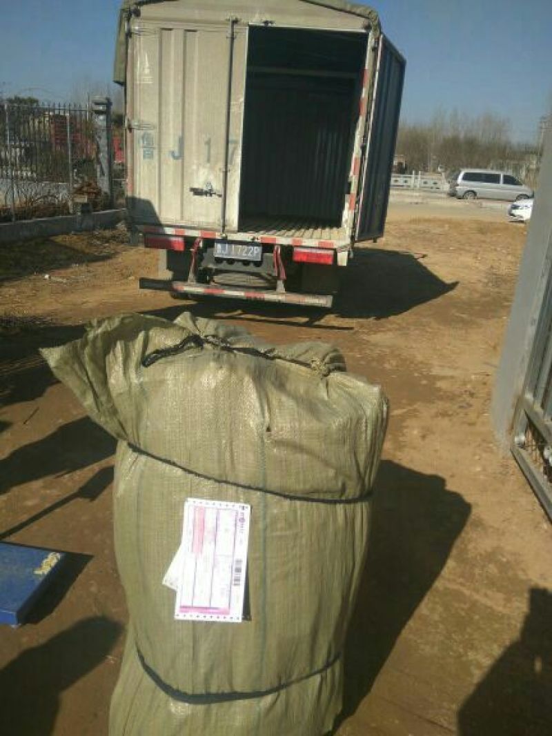 矮化苹果苗80cm以上苹果苗矮化苹果苗乔华苹果苗