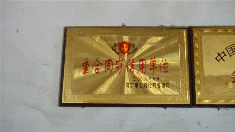 白羽王鸽500~600g