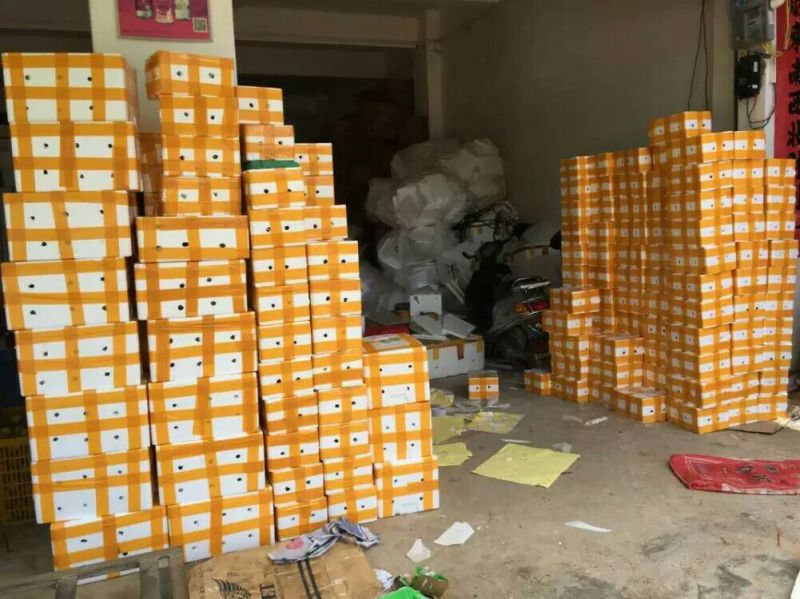 百香果80~90g紫果