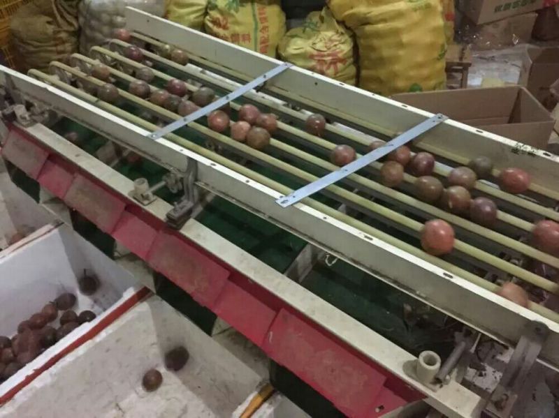 百香果80~90g紫果