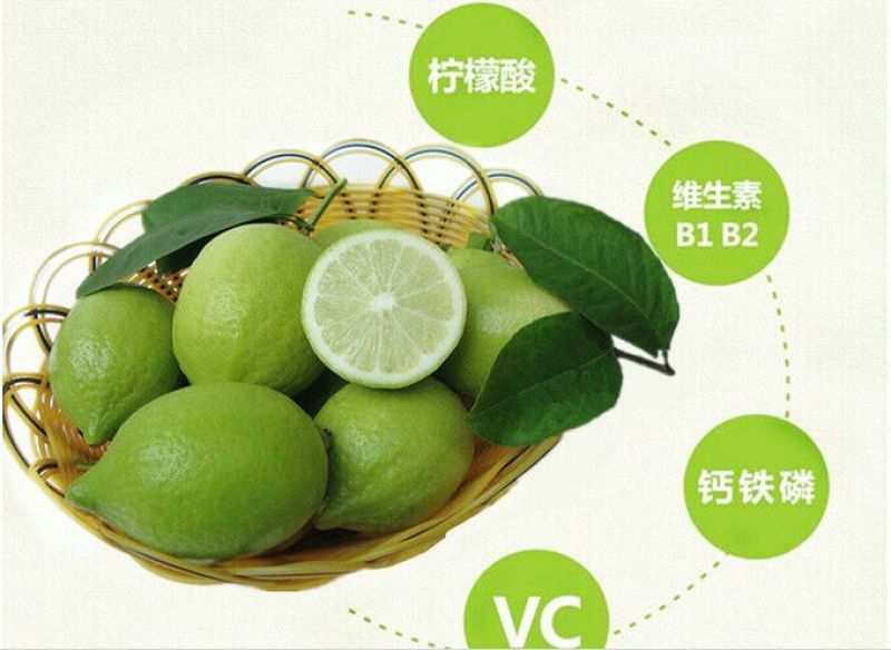 广东无籽香水柠檬1.5两到4两左右一级果