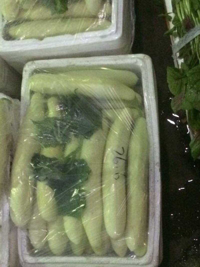 精品白皮黄瓜，基地直销，物鲜花带刺22~25公分