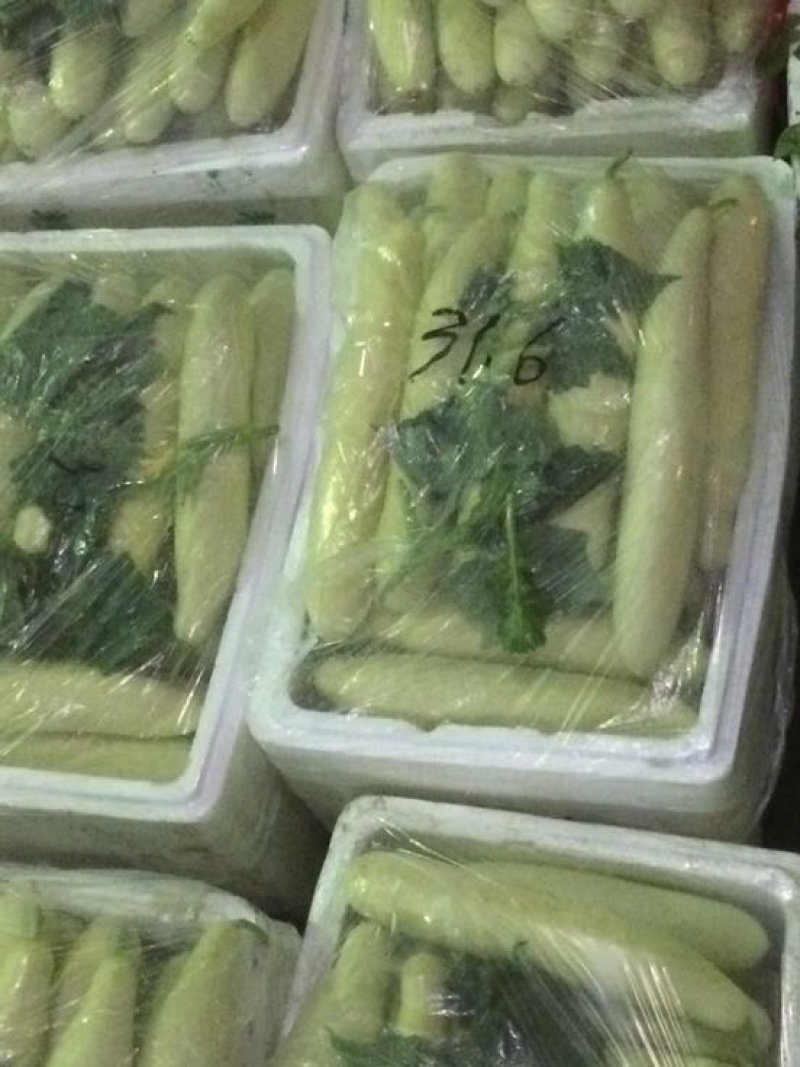 精品白皮黄瓜，基地直销，物鲜花带刺22~25公分