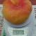 黄桃树苗80cm以上