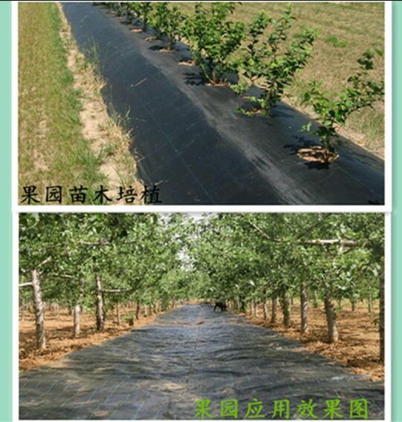 除草布
