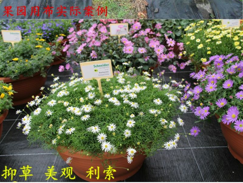 除草布