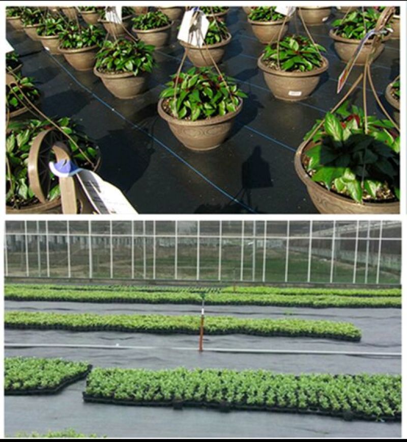 除草布