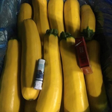 金皮西葫芦意黄意青黄节瓜