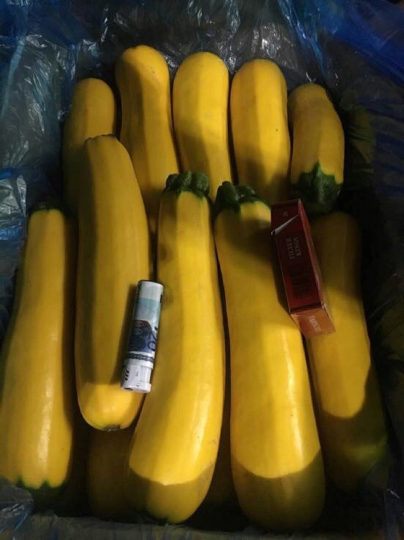 金皮西葫芦意黄意青黄节瓜