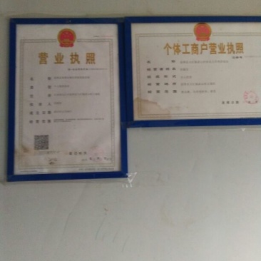 纯散养无饲料土鸡9~12月