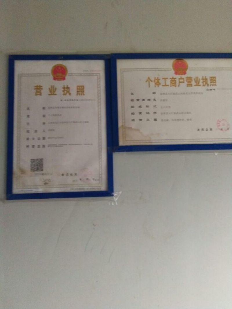 纯散养无饲料土鸡9~12月