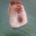 柿饼1~2两