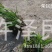 【推荐】茭白种苗美人茭白苗产地直供一手货源全国发货