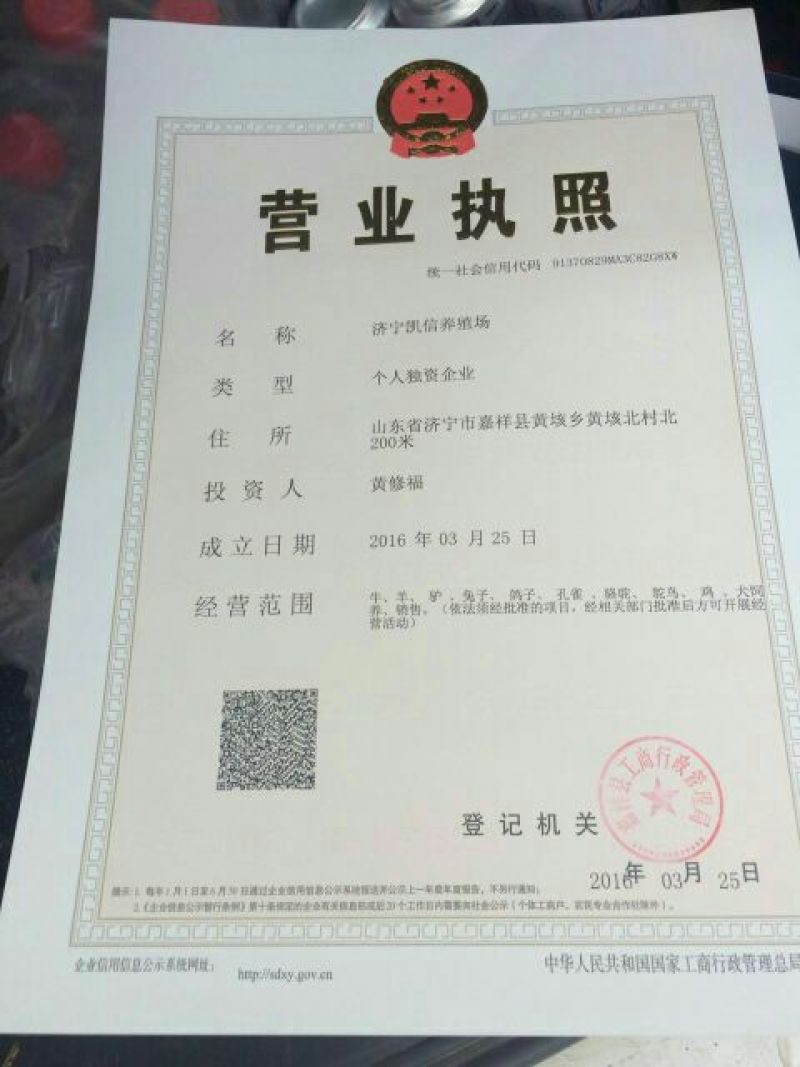 西门塔尔牛200~300斤