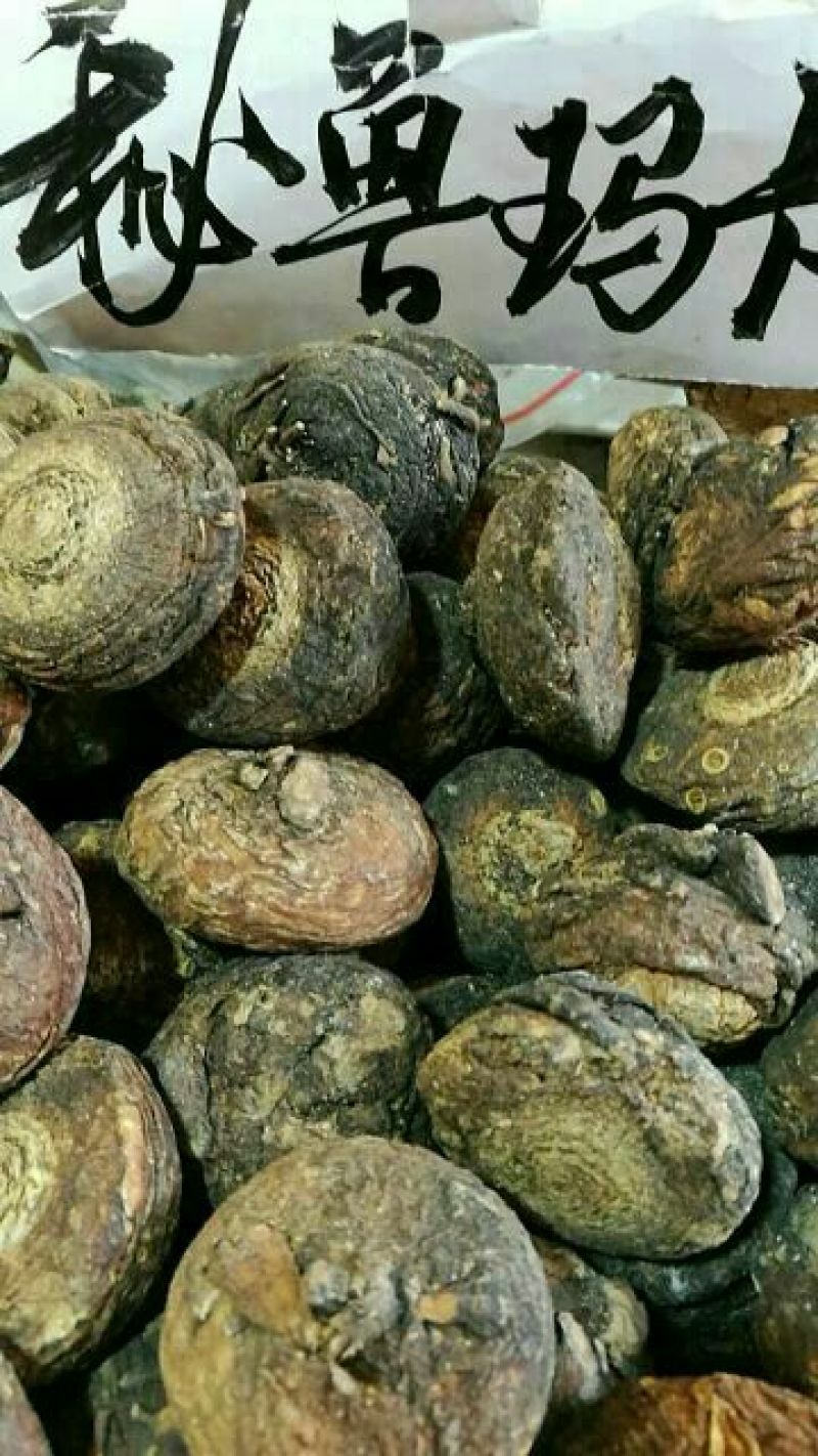 黑玛卡黑色