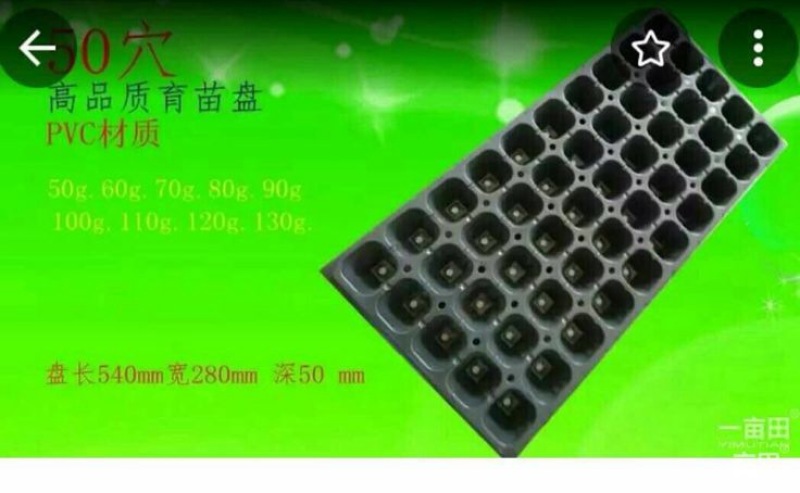 穴盘