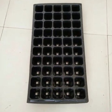 穴盘
