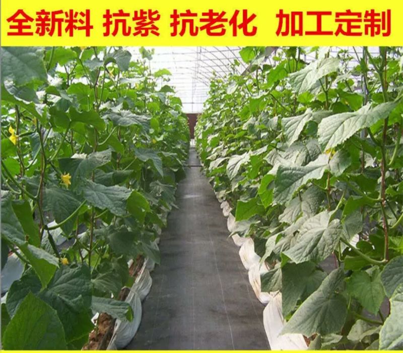 除草布