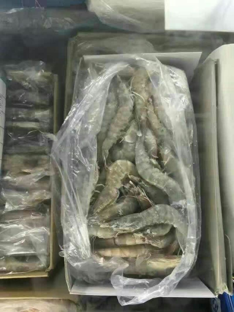基围虾食用活虾