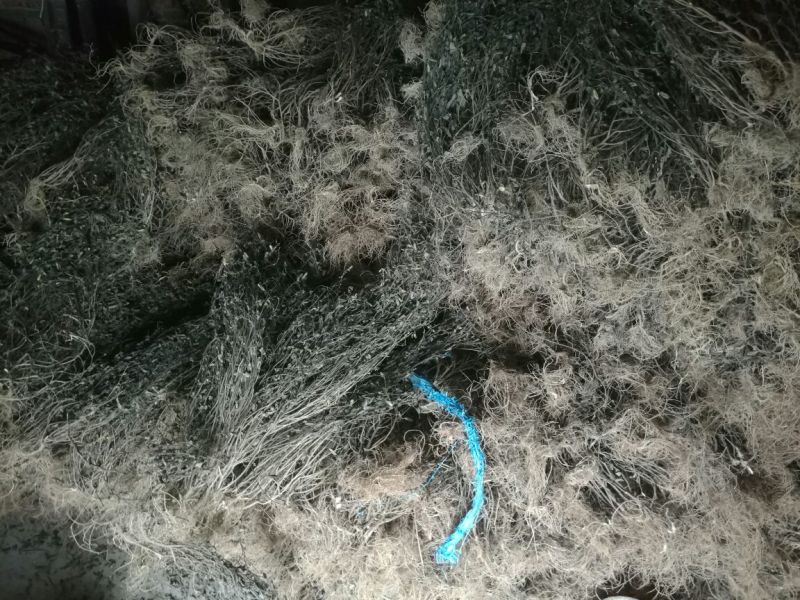 响铃草