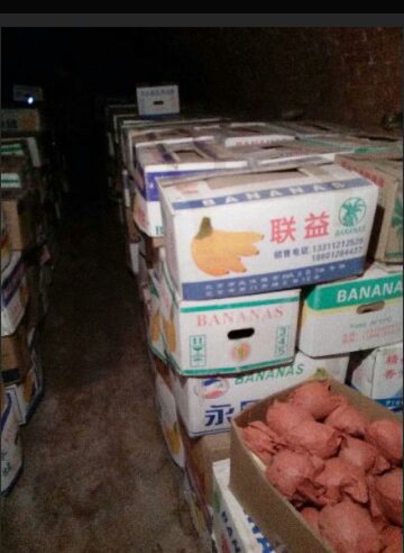 出售纸袋酥梨，果个250-500克。