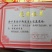 火龙果苗80~110种苗
