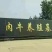 西门塔尔牛犊100~200kg