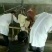 西门塔尔牛犊100~200kg
