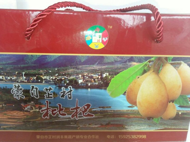 大五星枇杷0.4两以上