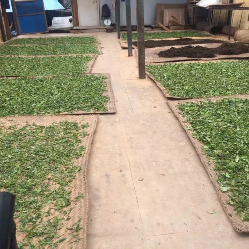 普洱茶