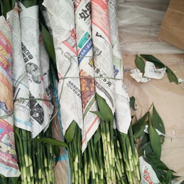 富贵竹，规格齐全货品新鲜价格合理