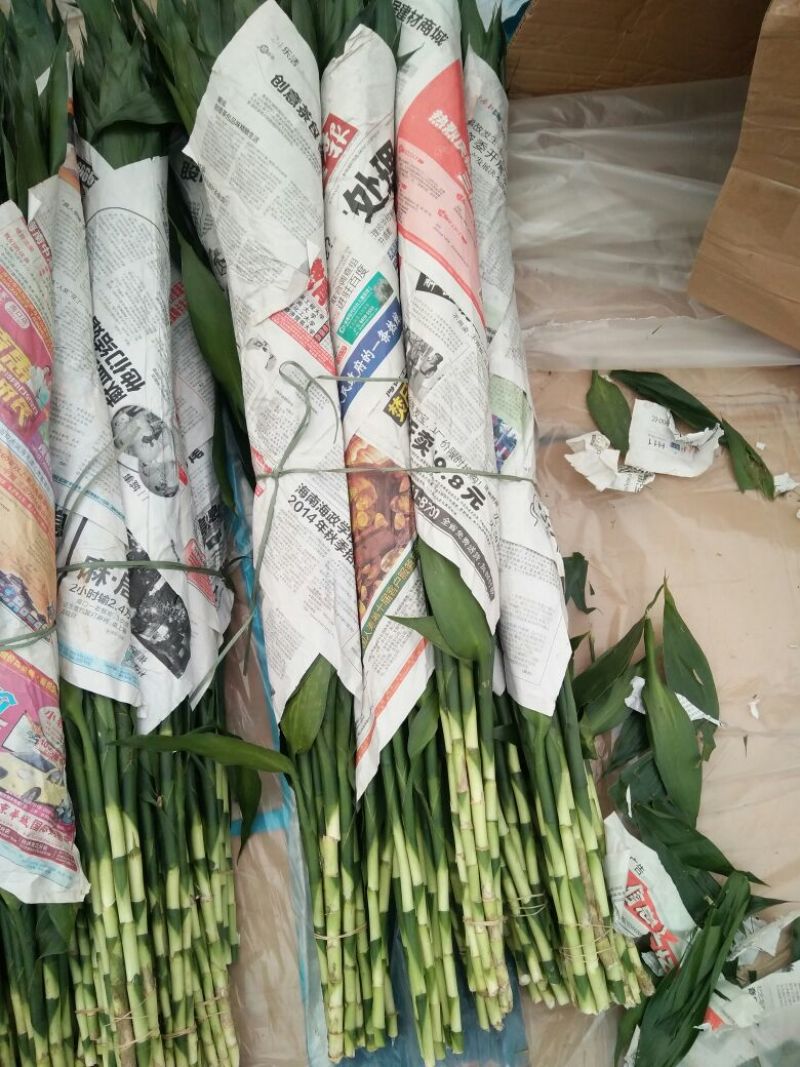 富贵竹，规格齐全货品新鲜价格合理