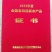 沃柑苗30~50cm沃柑苗30~50cm