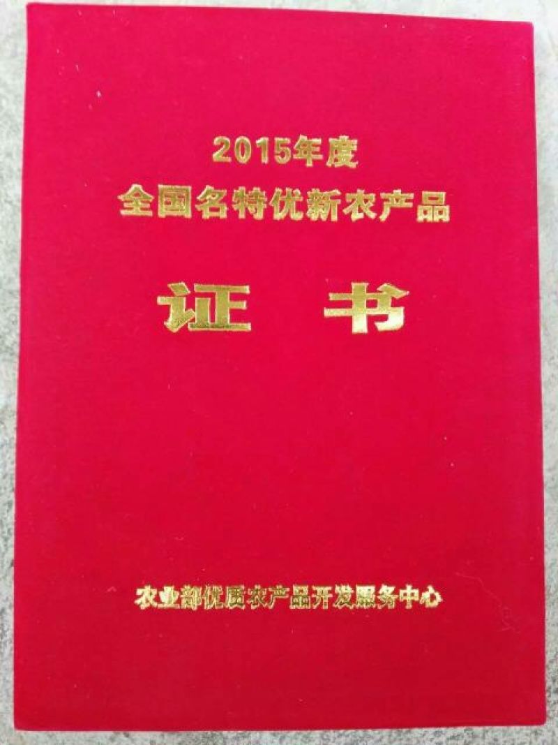 沃柑苗30~50cm沃柑苗30~50cm