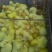 泰州白鹅鹅苗250g以下
