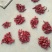 北京红干辣椒精品8.5成干