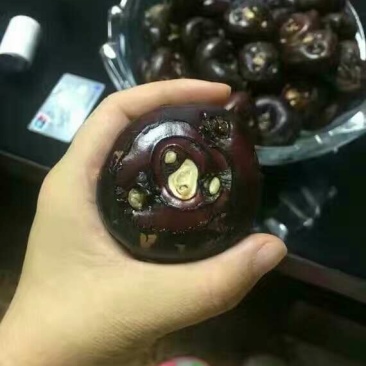 毛马蹄大号