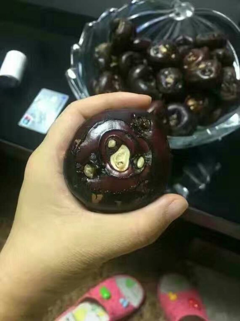 毛马蹄大号