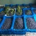 蓝丰蓝莓鲜果12~14mm以上