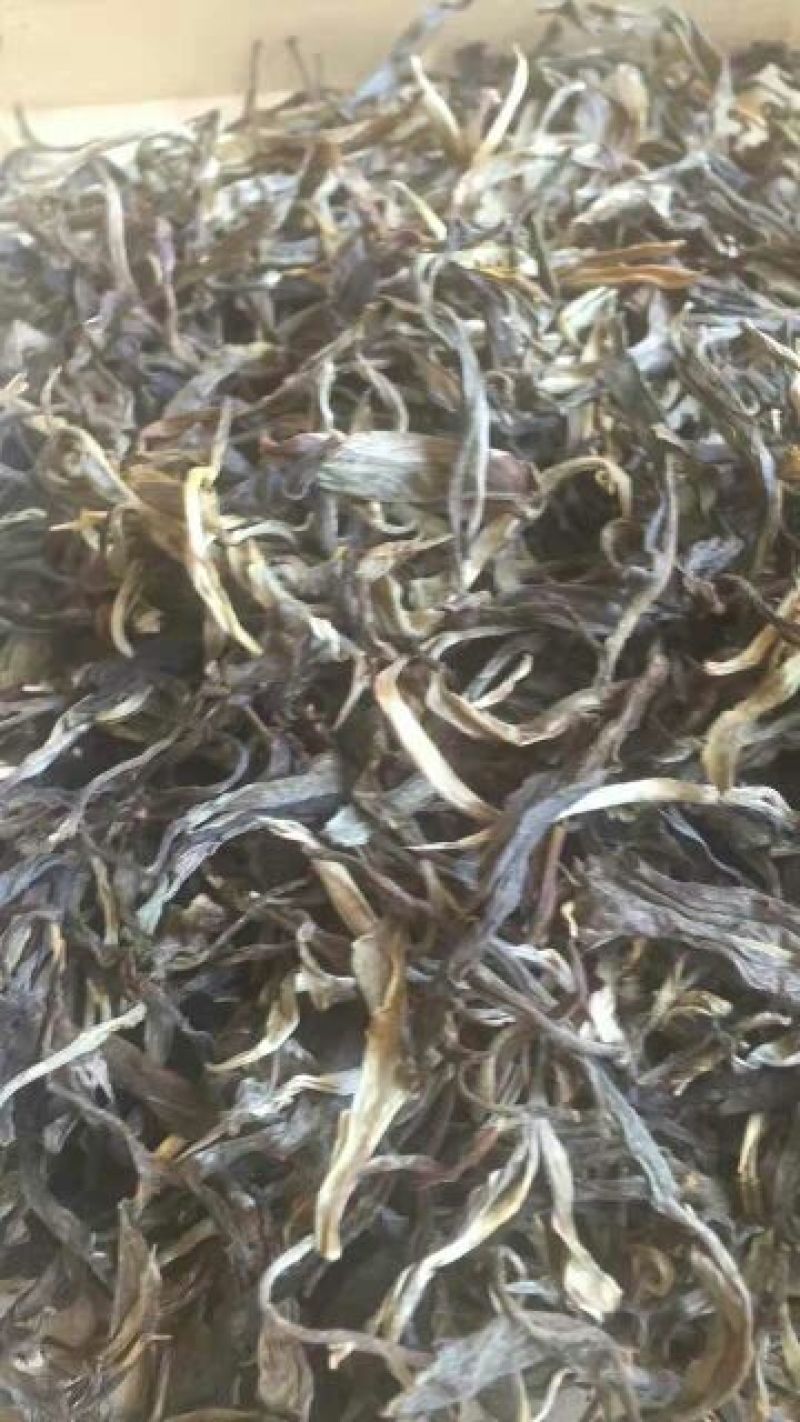 普洱茶