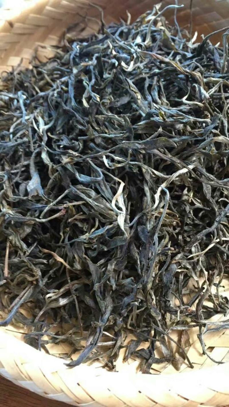 普洱茶