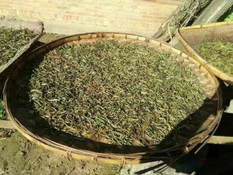 普洱茶