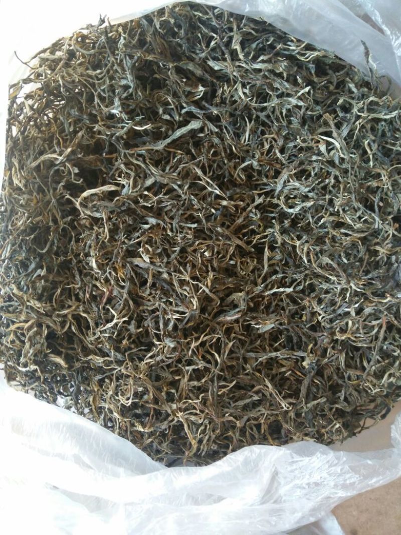 普洱茶