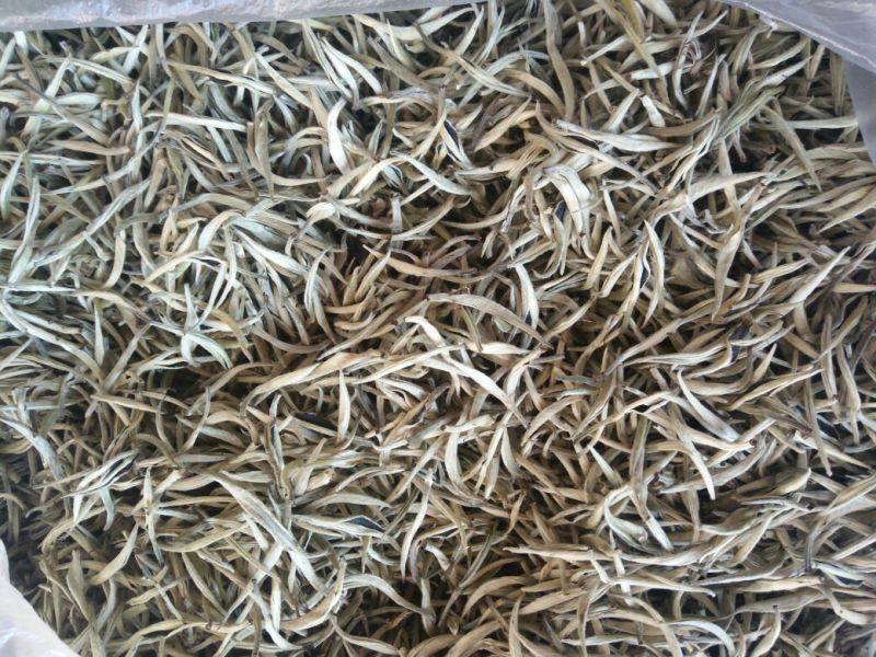 普洱茶