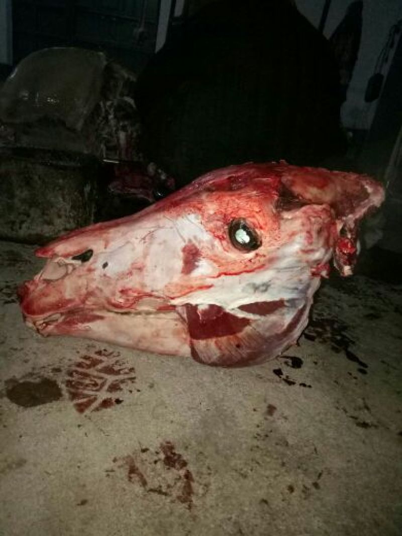 驴肉鲜货