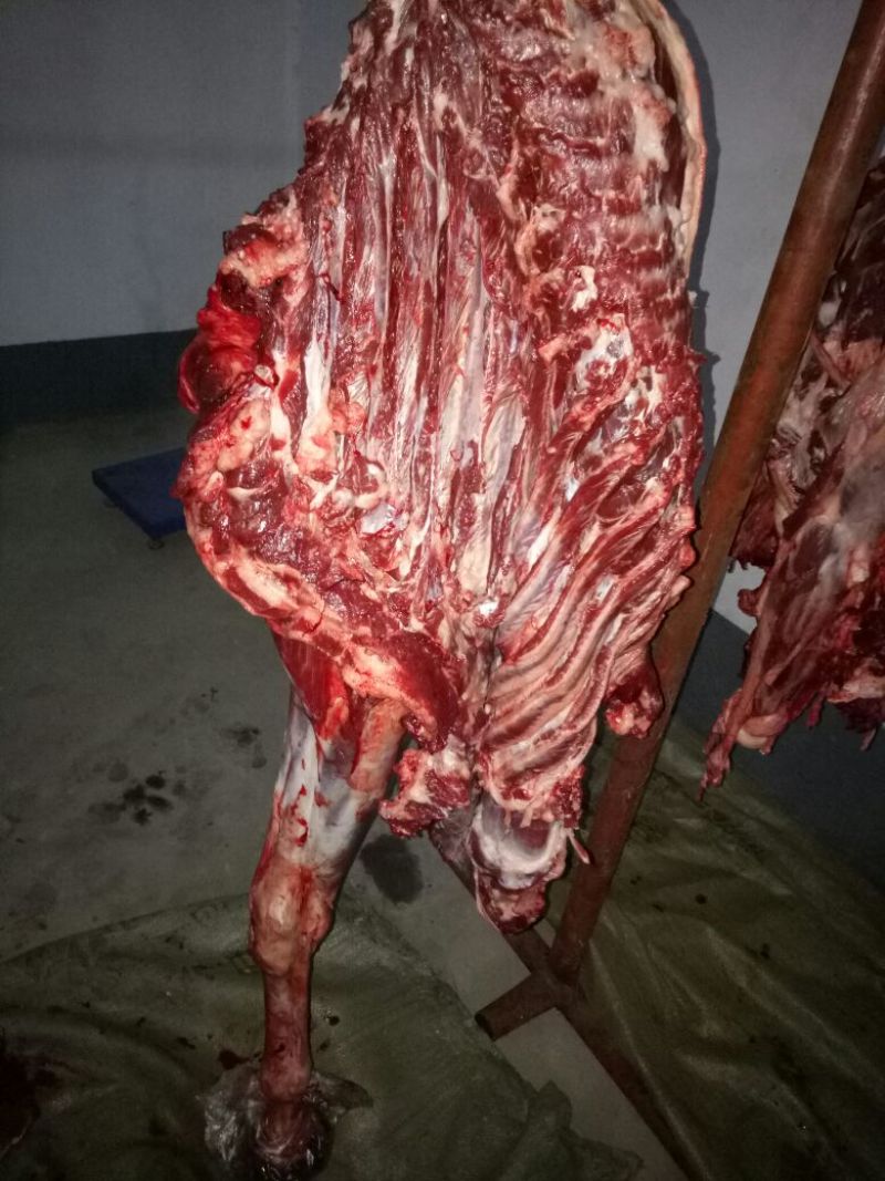 驴肉鲜货