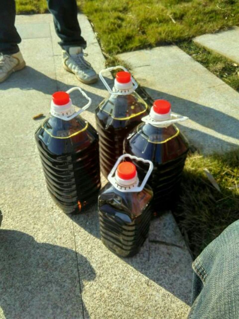 压榨菜籽油四级