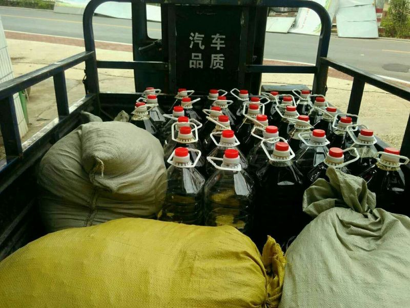 压榨菜籽油四级