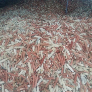 玉米芯颗粒