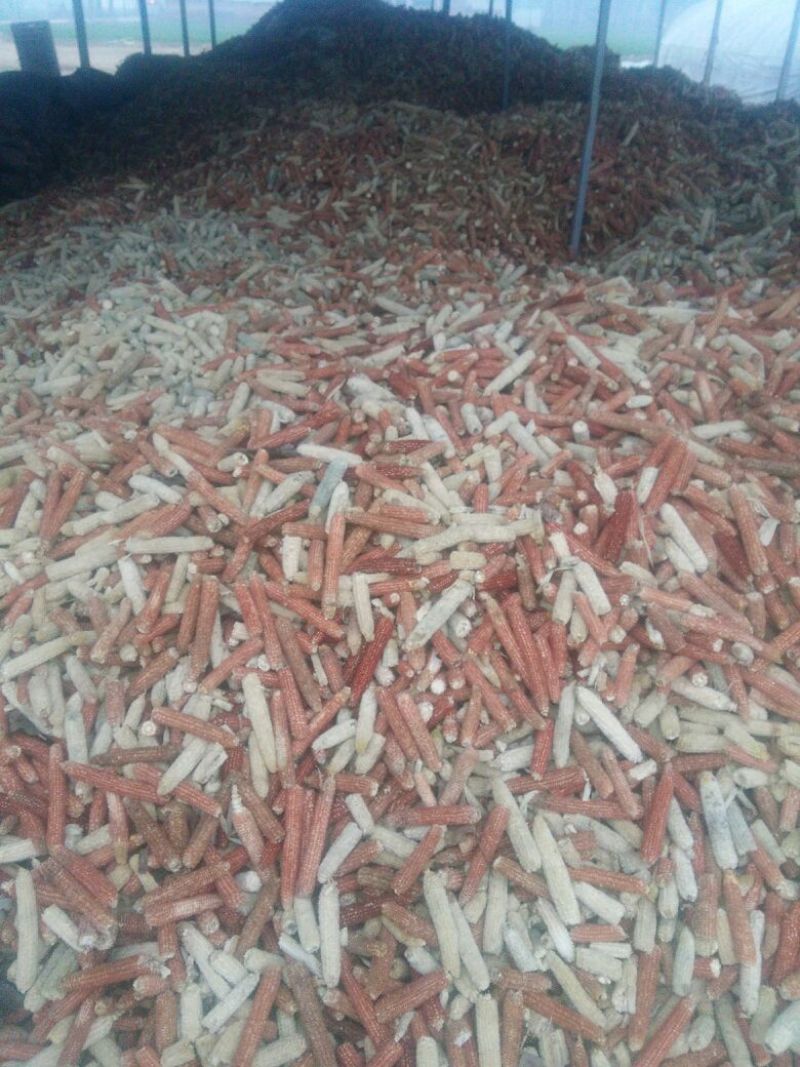 玉米芯颗粒